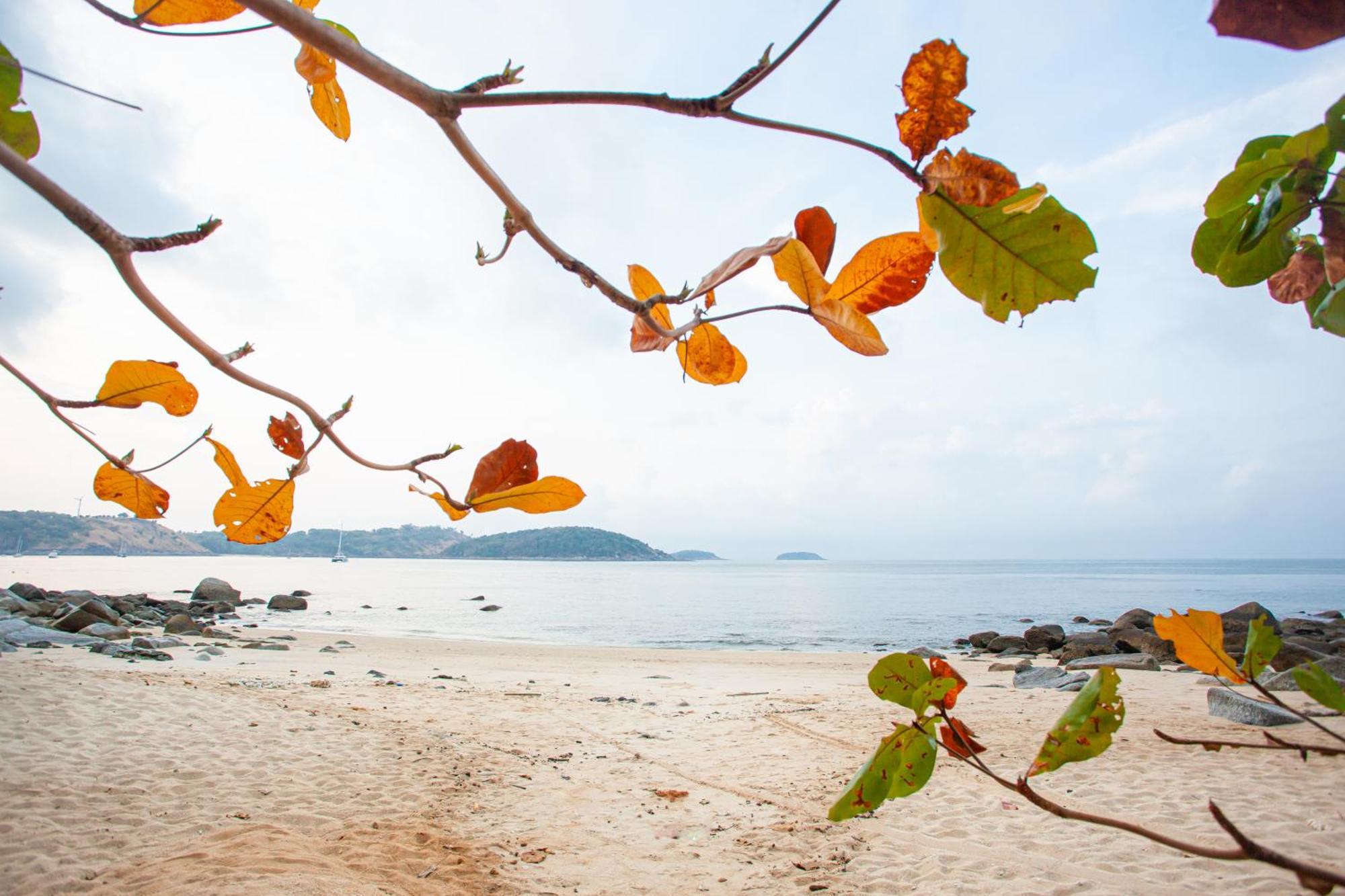 Baan Krating Phuket Resort -Sha Plus Nai Harn Exteriör bild